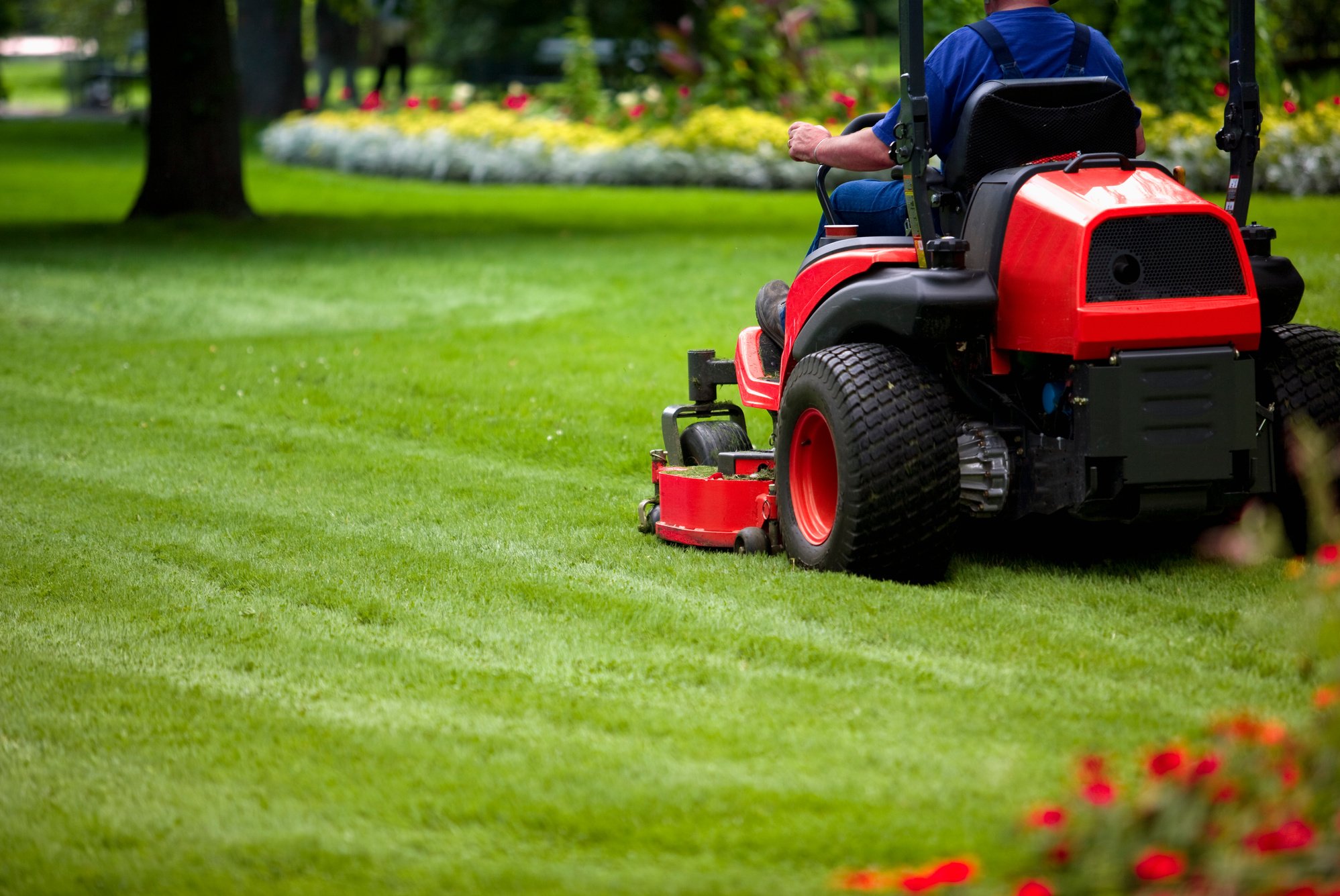 Man mowing lawn