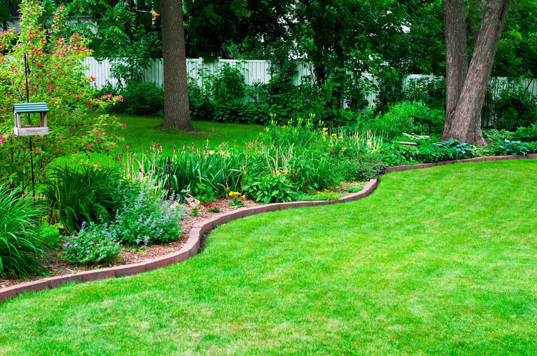 Backyard garden and Lawn